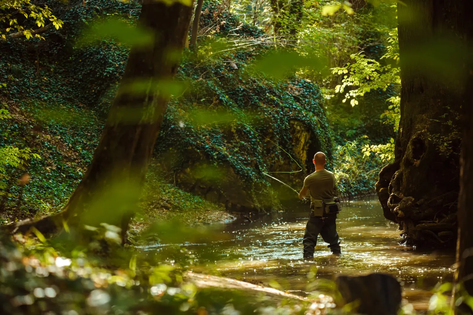 Angler fly casting in a small forest stream